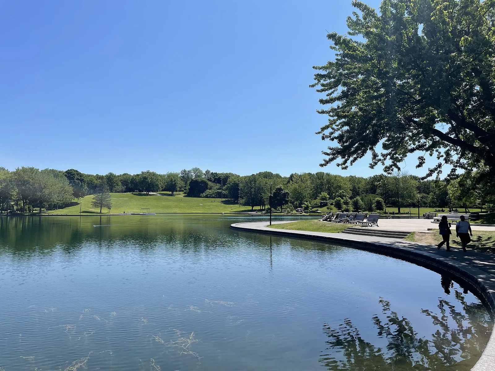 Beaver Lake Montreal in summer, with the clover-shaped pond, lawns and trees of Mount Royal Park