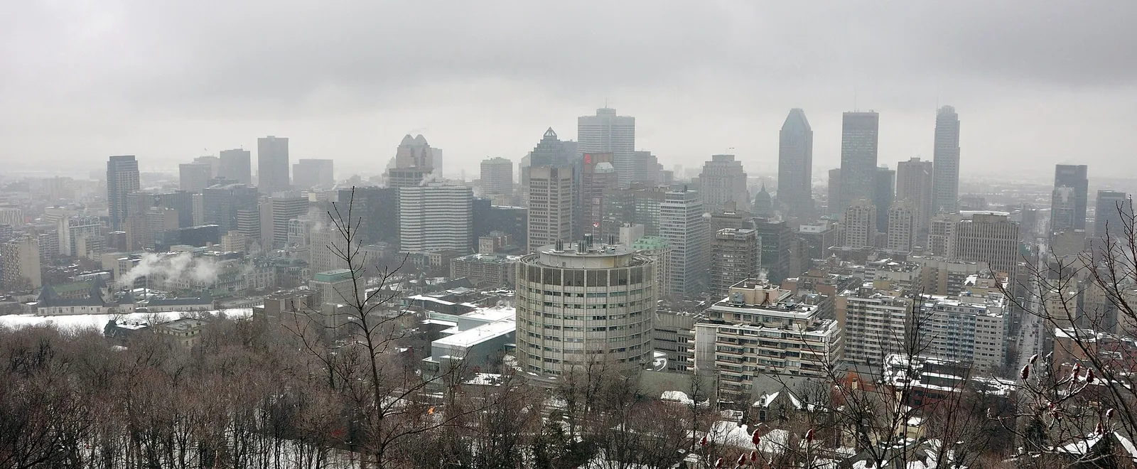 Downtown Montreal skyline seen from Mount Royal over snowy trees on a winter day