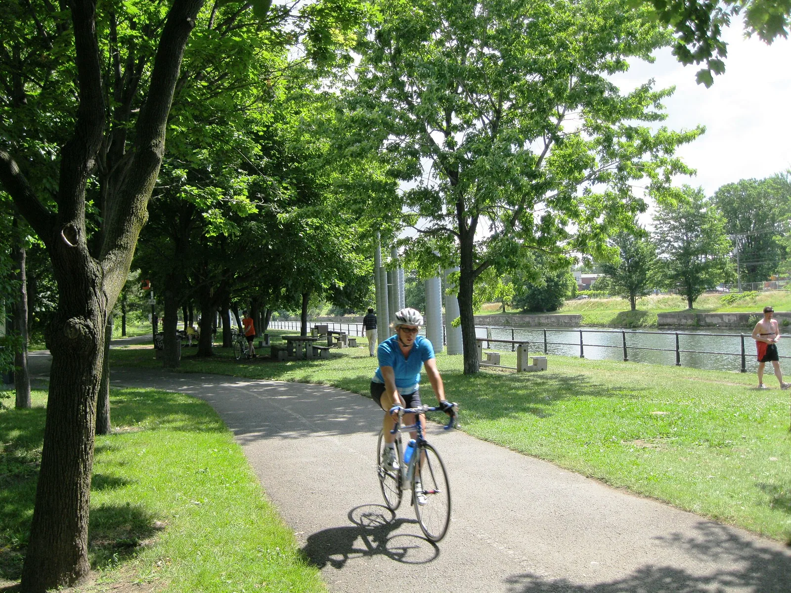 Cyclist on the tree-lined Lachine Canal bike path in Montreal