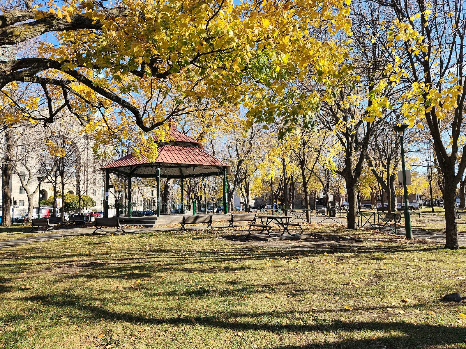 Autumn leaves and the gazebo in Parc de la Petite-Italie, Little Italy