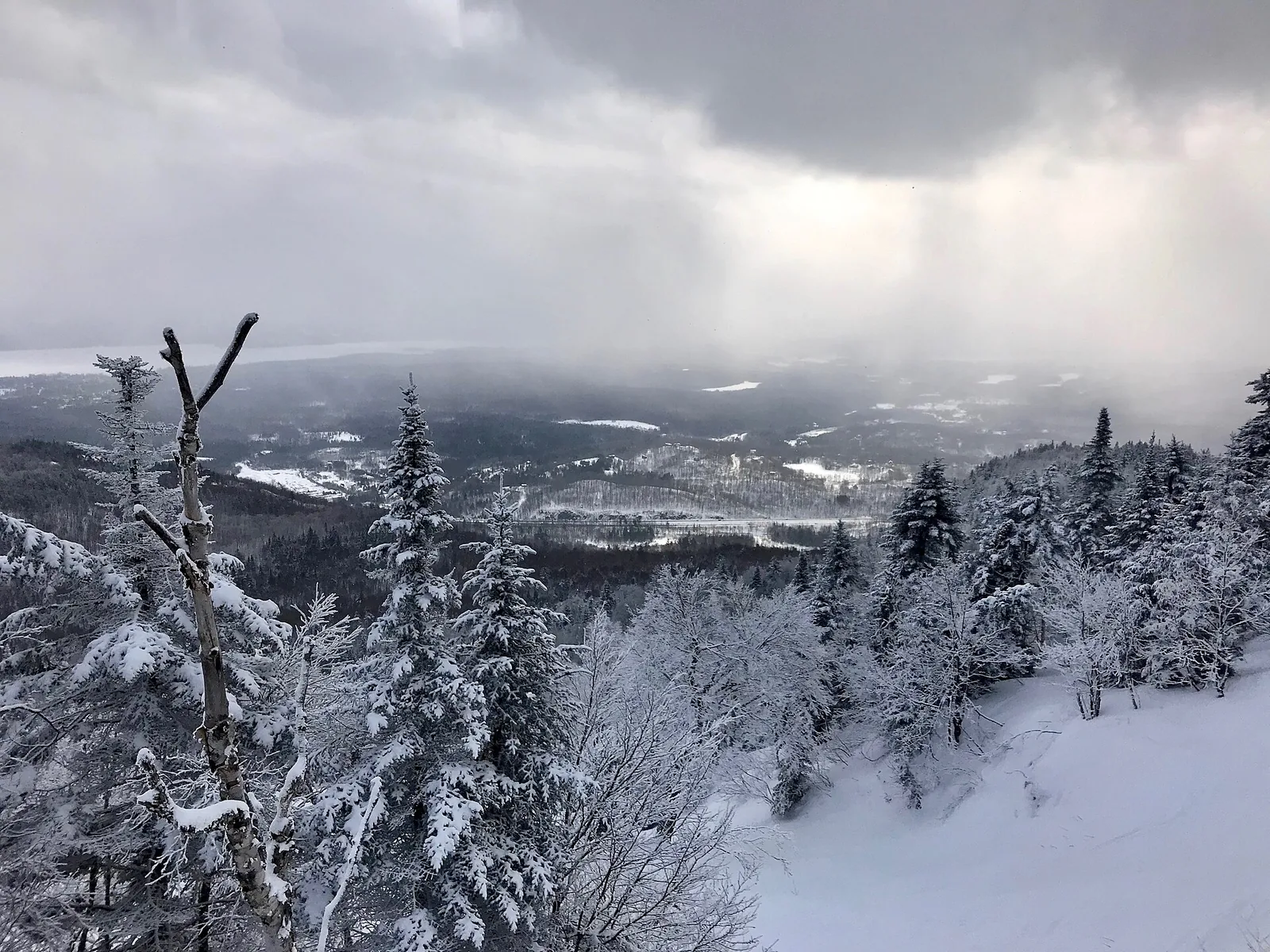 Snow-laden conifers and a wide winter view over hills and valleys from Mont Orford