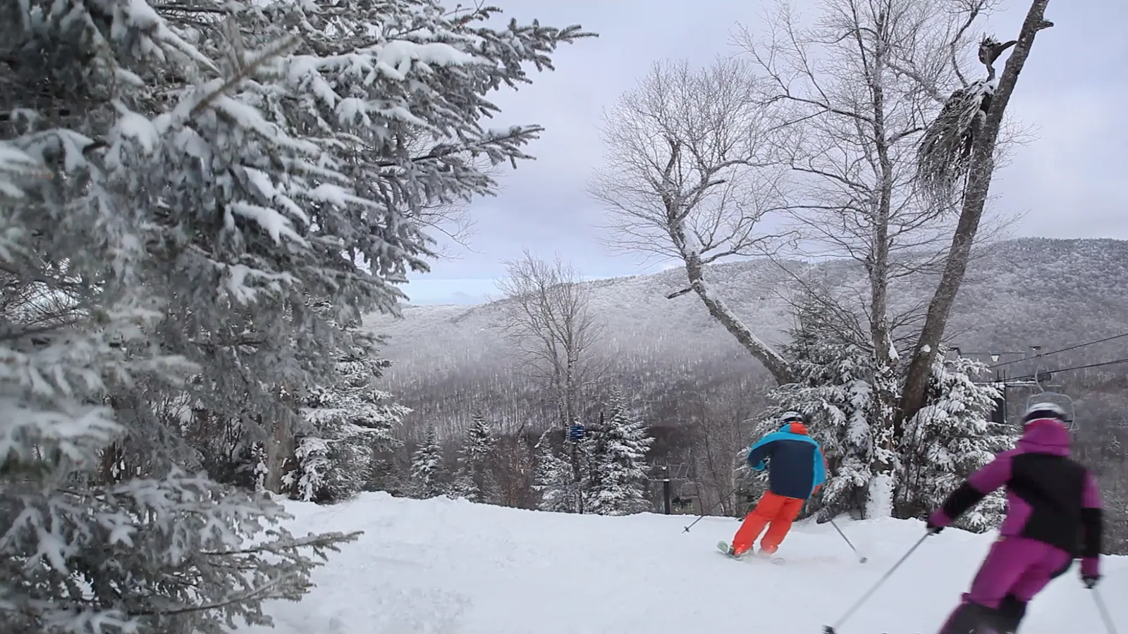 Two skiers heading down a snowy trail between frosted trees at Mont Sutton