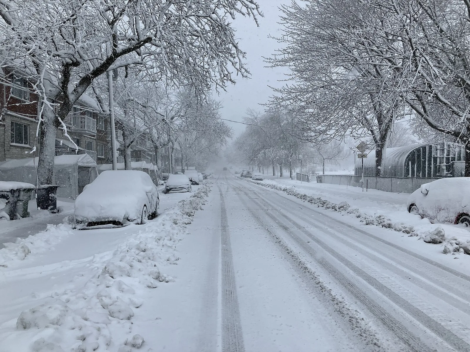 Snow-covered trees, parked cars and a ploughed residential street in Montreal after a heavy snowfall